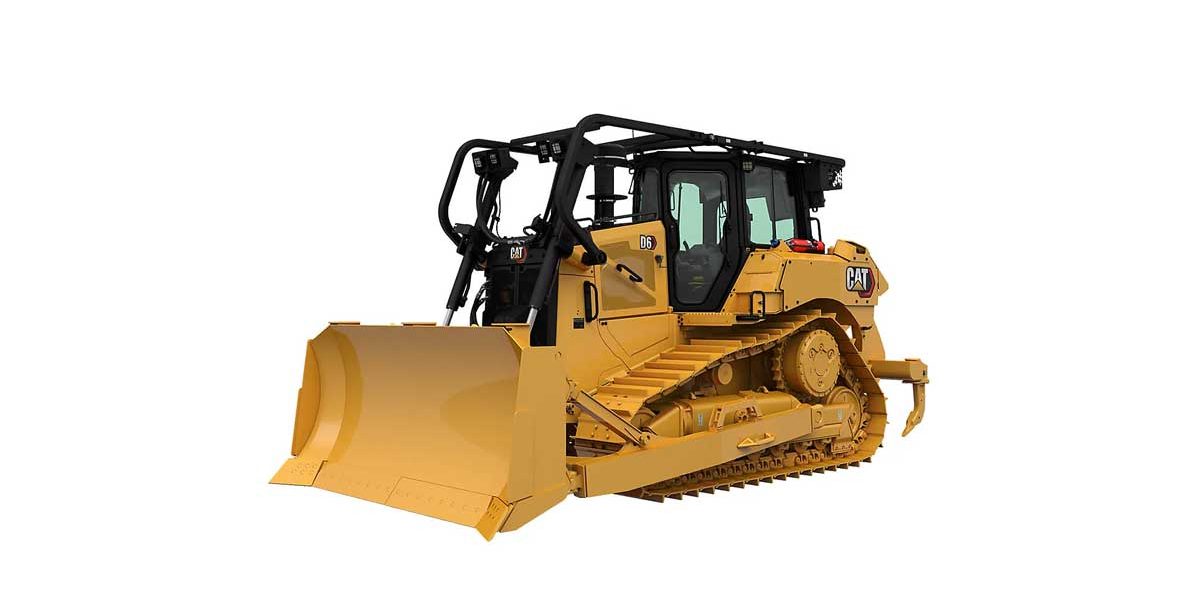 D6